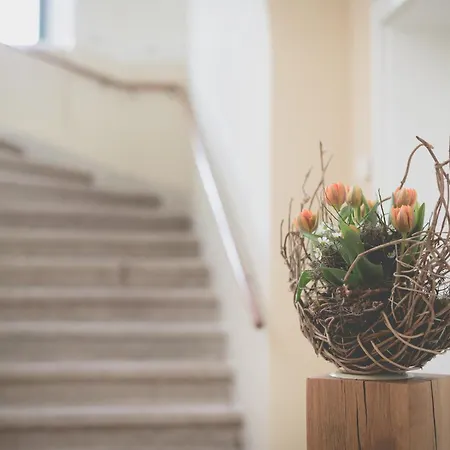Romantische Ferienwohnung In Eibenstock Mit Sauna شقة