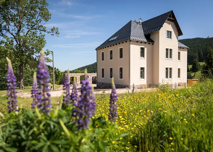 شقة Romantische Ferienwohnung In Eibenstock Mit Sauna آيبنشتوك