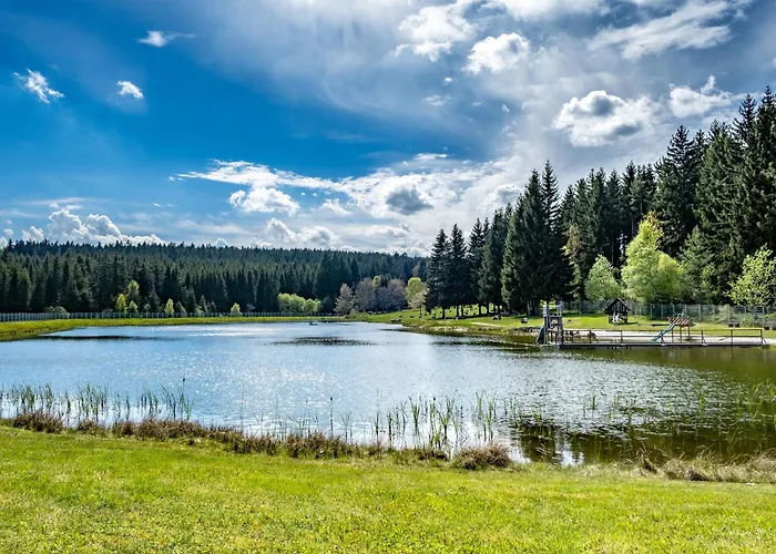 شقة Romantische Ferienwohnung In Eibenstock Mit Sauna