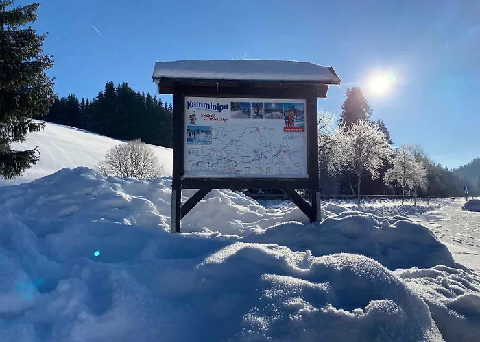 Romantische Ferienwohnung In Eibenstock Mit Sauna *